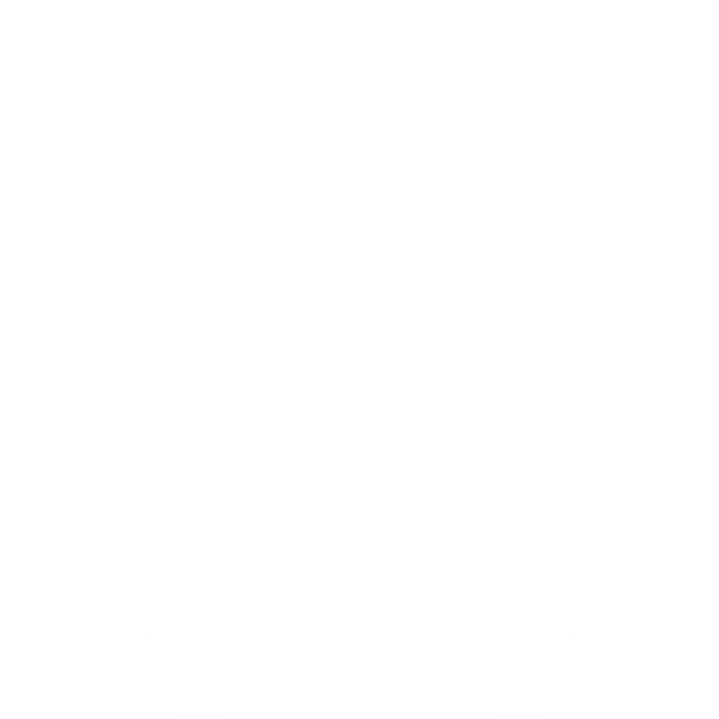 Individual Social Responsibility action icon 11