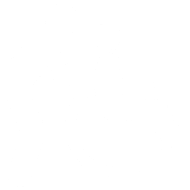 Individual Social Responsibility action icon 14