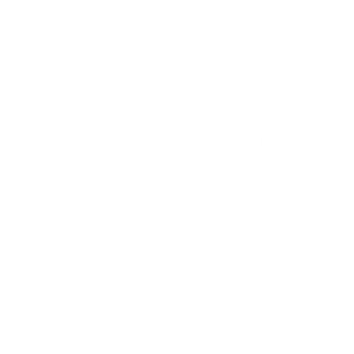 Individual Social Responsibility action icon 2