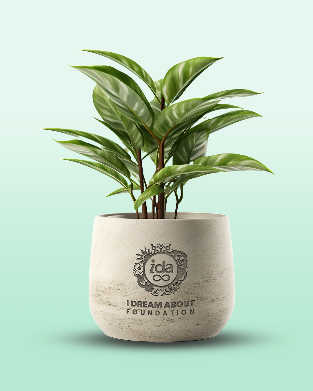 Plants