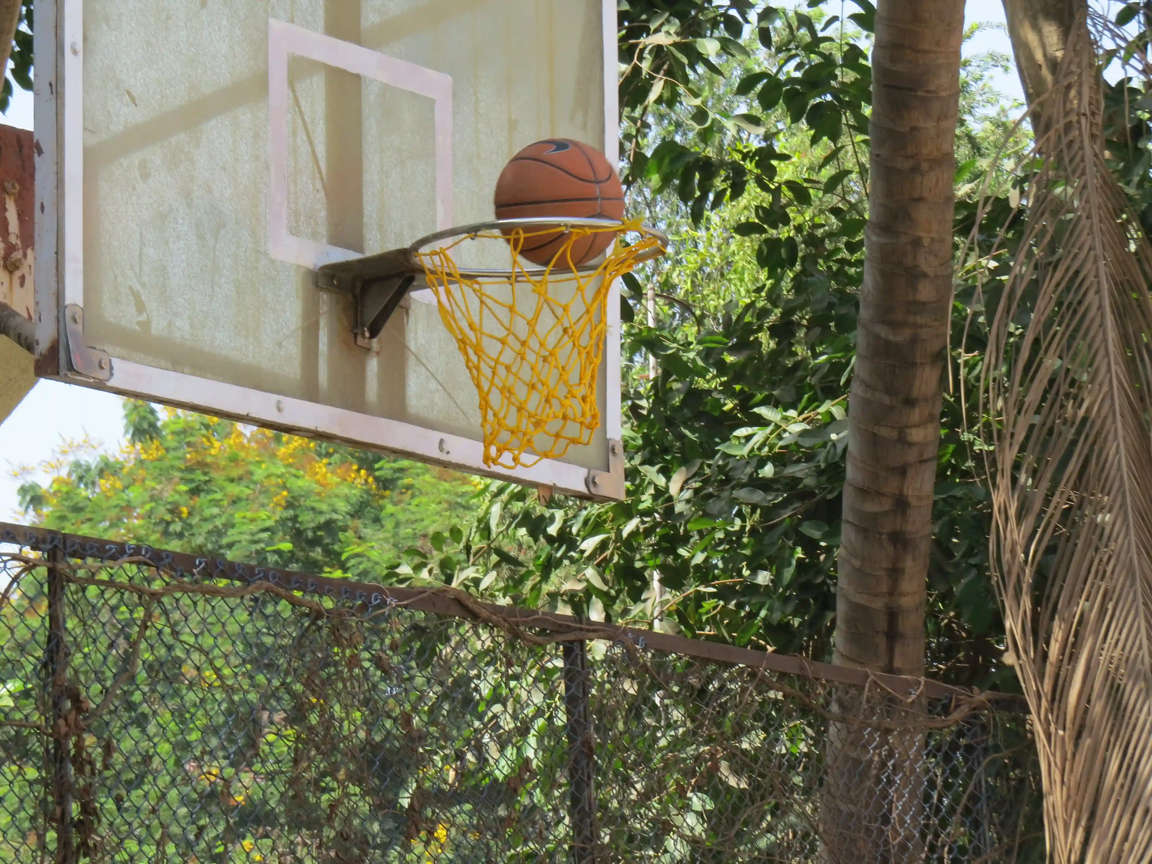 Sports