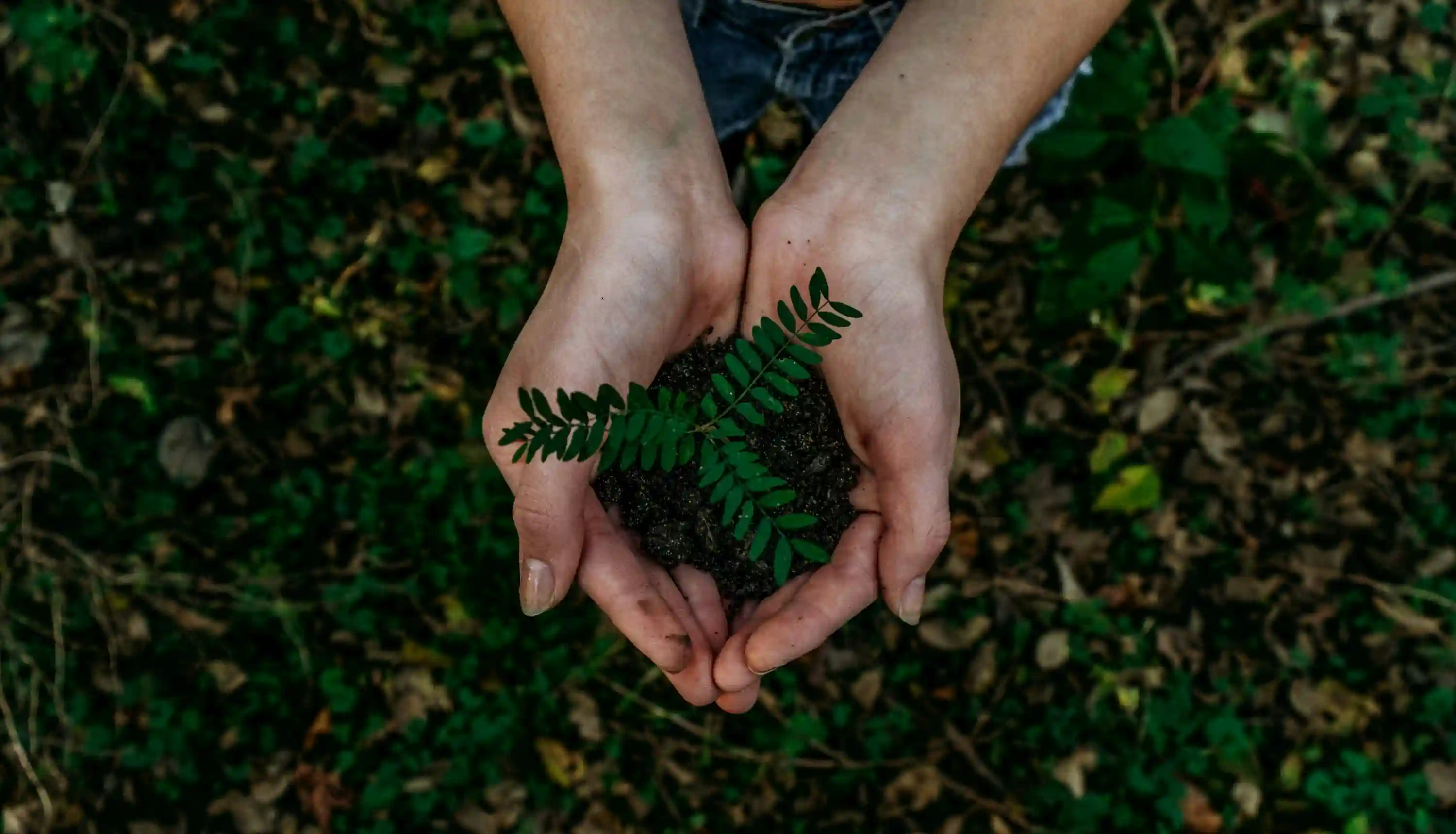 Environment