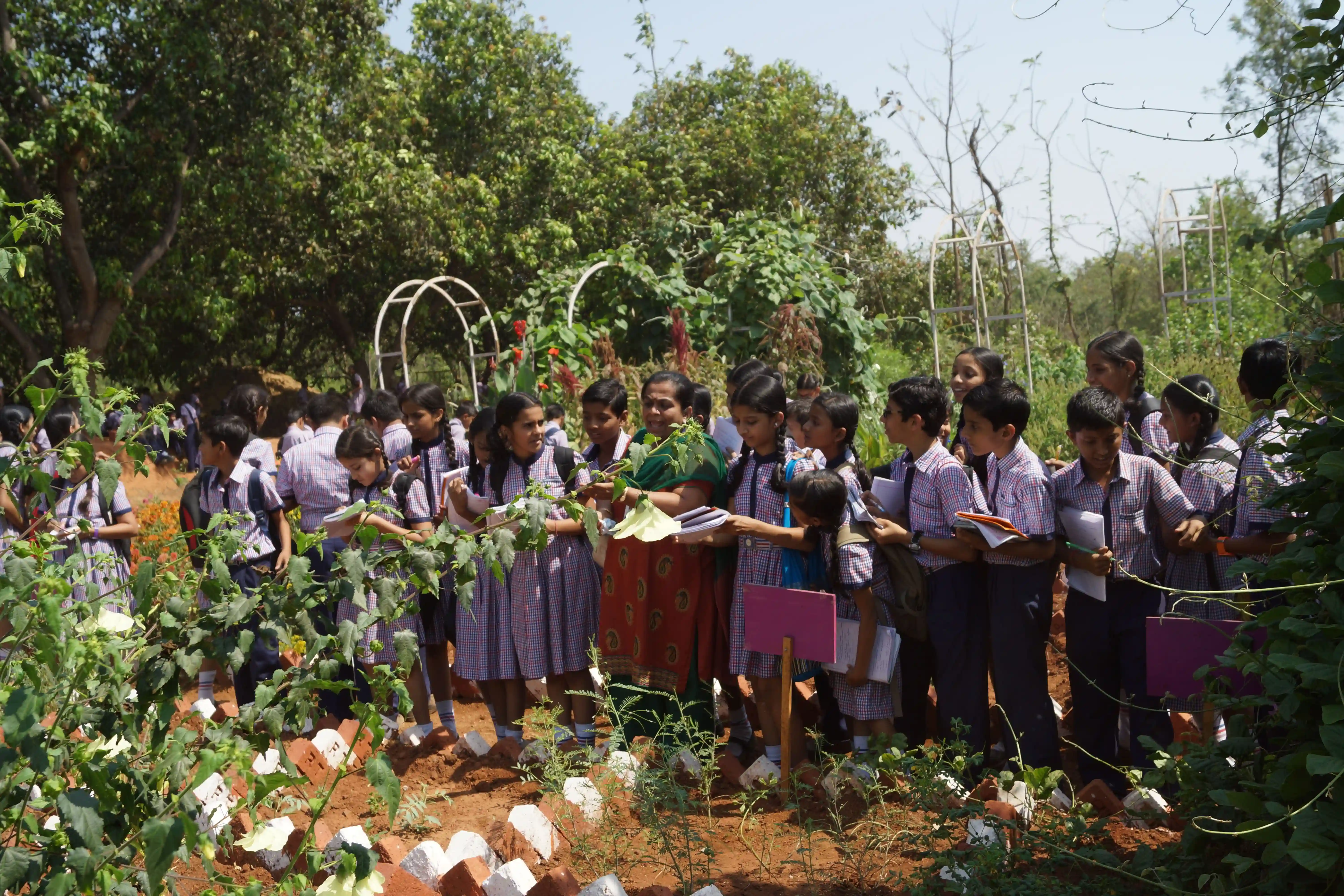Herbal Garden