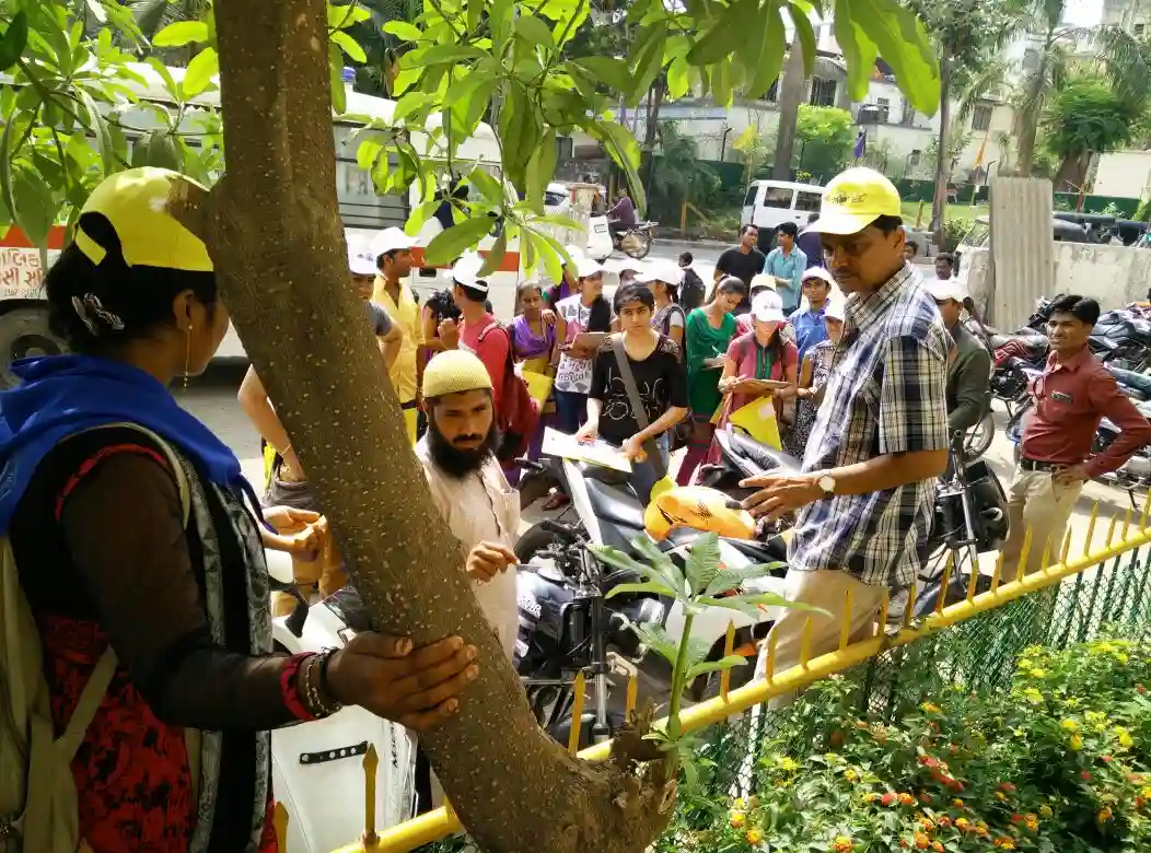 Tree Census
